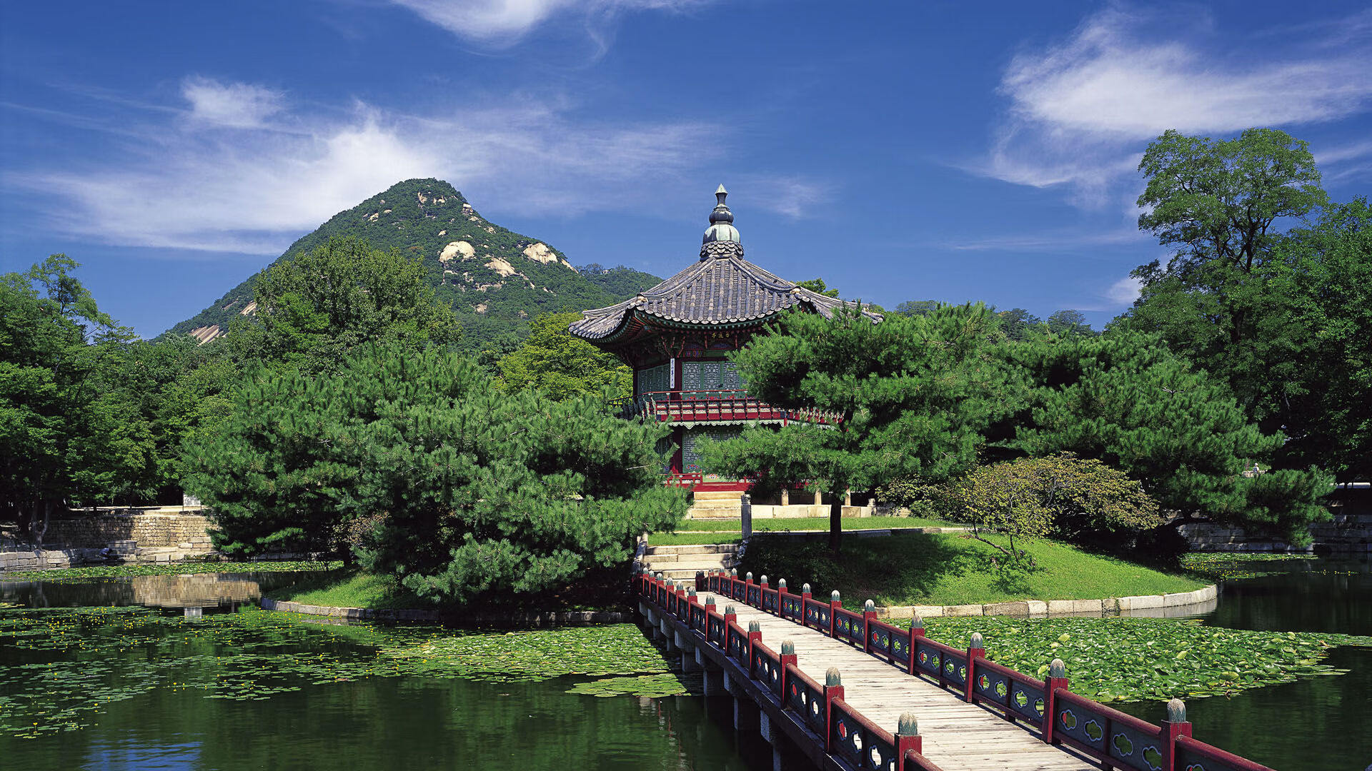 世界帆船赛事海上救援团队轮值表与训练记录公布,海上救援船视频